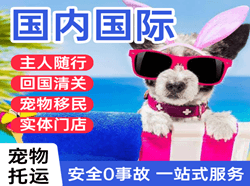 抚远东极航空快运国际宠物托运 【国